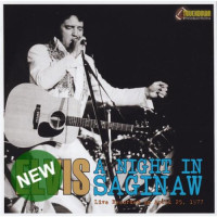 A Night In Sagniaw A Night In Sagniaw