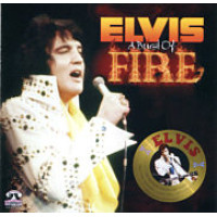 A Burst Of Fire A Burst Of Fire