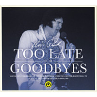 Too Late For Goodbyes